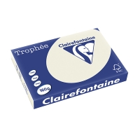 Clairefontaine gekleurd papier parelgrijs 160 g/m² A3 (250 vellen) 1065PC 250143