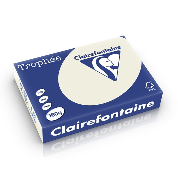 Scenario Geruïneerd revolutie Clairefontaine gekleurd papier parelgrijs 160 g/m² A4 (250 vellen)  Clairefontaine 123inkt.be