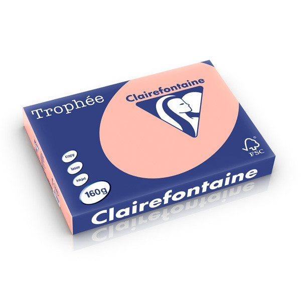 Clairefontaine gekleurd papier perzik 160 g/m² A3 (250 vellen) 1141PC 250271 - 1