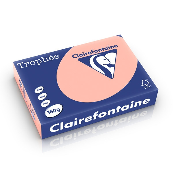 Clairefontaine gekleurd papier perzik 160 g/m² A4 (250 vellen) 1049PC 250238 - 1