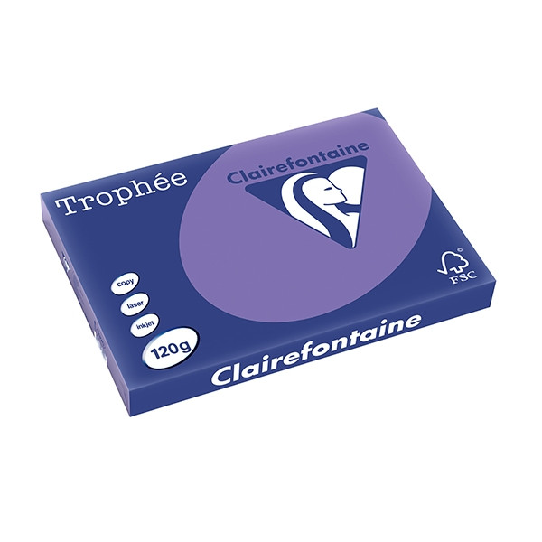 Clairefontaine gekleurd papier violet 120 g/m² A3 (250 vellen) 1320C 250138 - 1