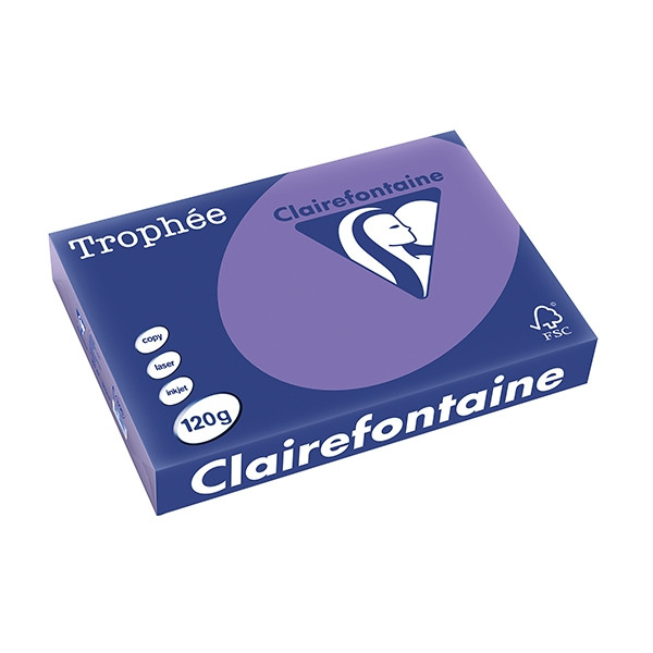 Clairefontaine gekleurd papier violet 120 g/m² A4 (250 vellen) 1220PC 250082 - 1
