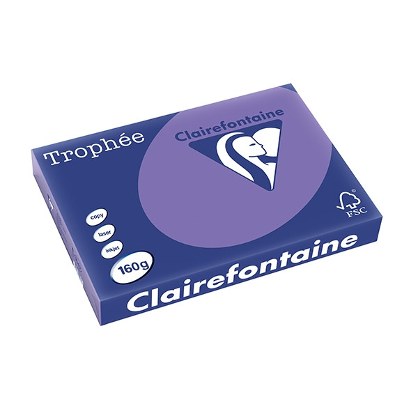 Clairefontaine gekleurd papier violet 160 g/m² A3 (250 vellen) 1047PC 250156 - 1