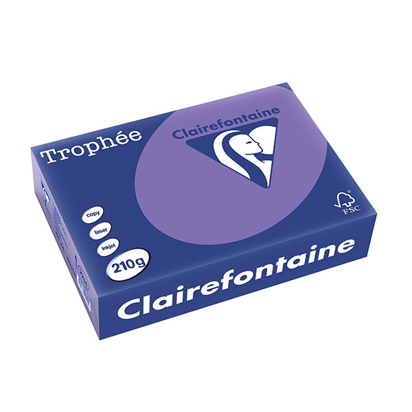 Clairefontaine gekleurd papier violet 210 grams A4 (250 vel) 2214PC 250100 - 1