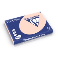 Clairefontaine gekleurd papier zalm 120 g/m² A3 (250 vellen) 1309C 250219