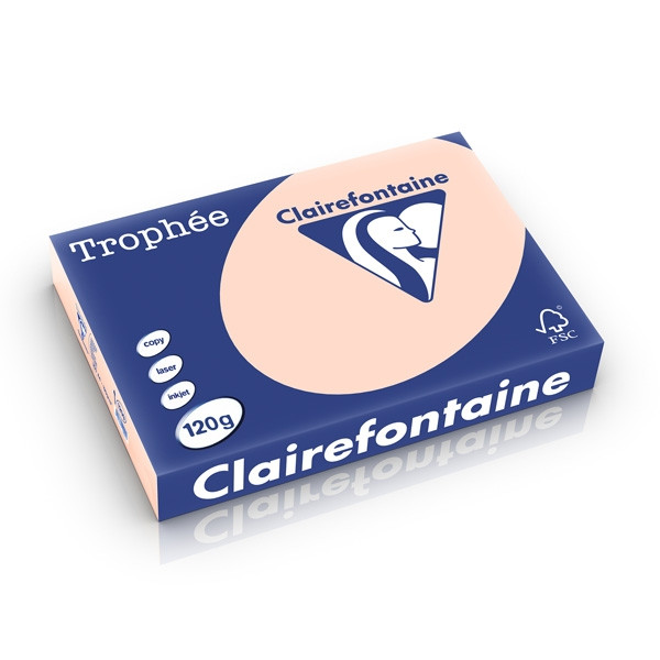 Clairefontaine gekleurd papier zalm 120 g/m² A4 (250 vellen) 1209PC 250201 - 1