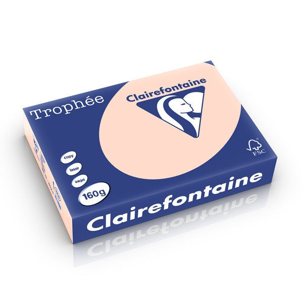 Clairefontaine gekleurd papier zalm 160 g/m² A4 (250 vellen) 1104PC 250242 - 1