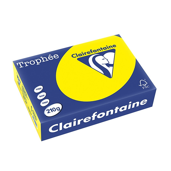 Clairefontaine gekleurd papier zonnegeel 210 grams A4 (250 vel) 2210PC 250102 - 1