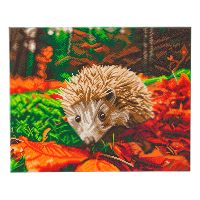 Crystal Art diamond painting kit Hedgehog 40 x 50 cm CAK-A106L 400966