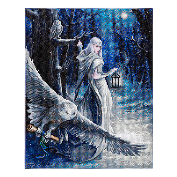 Crystal Art diamond painting kit Midnight Messenger 40 x 50 cm CAK-AST1 400950 - 1