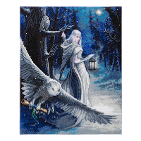 Crystal Art diamond painting kit Midnight Messenger 40 x 50 cm CAK-AST1 400950