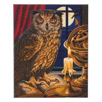 Crystal Art diamond painting kit The Astrologer Owl 40 x 50 cm CAK-A99L 400957