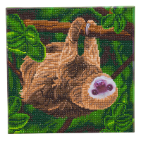 Crystal Art diamond painting kit Two Toed Sloth 30 x 30 cm CAK-A143M 400939