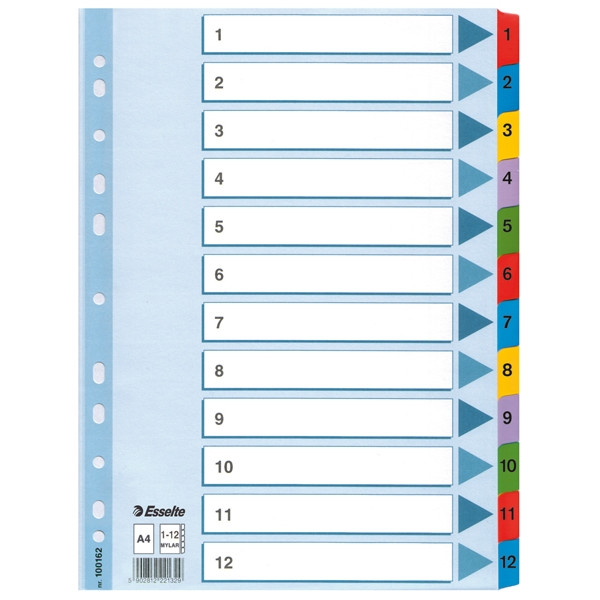 Esselte 100162 kartonnen tabbladen A4 met 12 tabs (11-gaats) 100162 203836 - 1