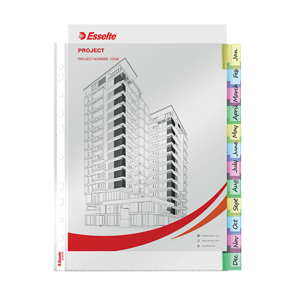 Esselte premium index geperforeerd hoesje met 12 tabs 414170 203229 - 3