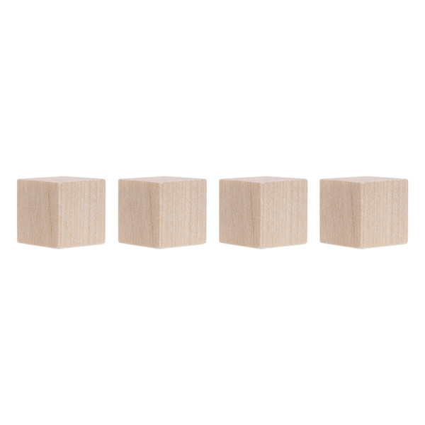 Magnetoplan Wood Series kubusmagneten 20 x 20 x 20 mm (4 stuks) 1665349 423368 - 1