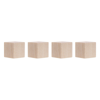 Magnetoplan Wood Series kubusmagneten 20 x 20 x 20 mm (4 stuks) 1665349 423368