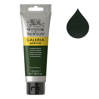 Winsor & Newton Galeria acrylverf 311 hookers green (120 ml) 2131311 410138