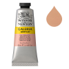 Winsor & Newton Galeria acrylverf 437 pale terracotta (60 ml)