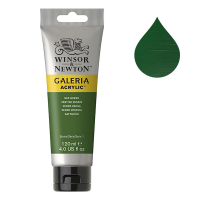 Winsor & Newton Galeria acrylverf 599 sap green (120 ml) 2131599 410170