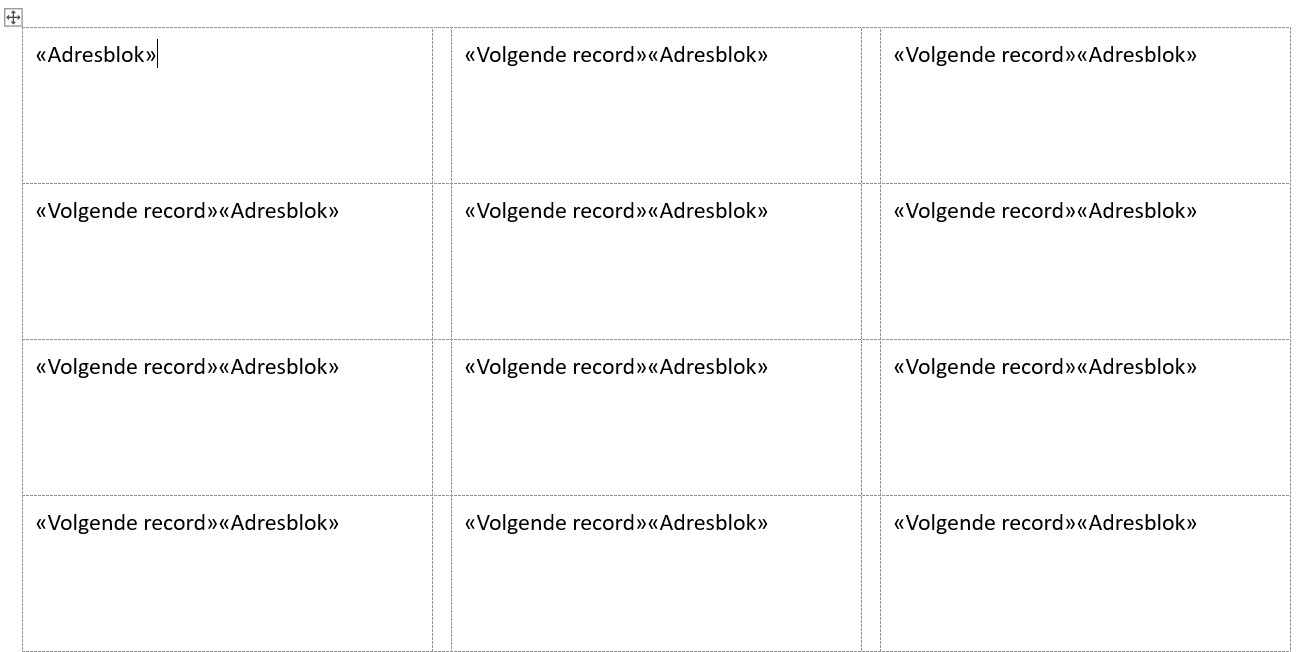 Screenshot van etiketten met de tekst «Volgende record»«Adresblok» in Word