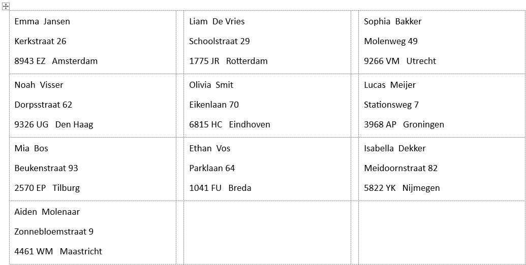 Screenshot van etiketten met daarop adresgegevens in Word